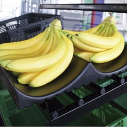 Expositor de prateleira para bananas