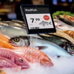 Espeto para preçário  - peixaria