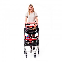 Carrinho de compras com cestos
